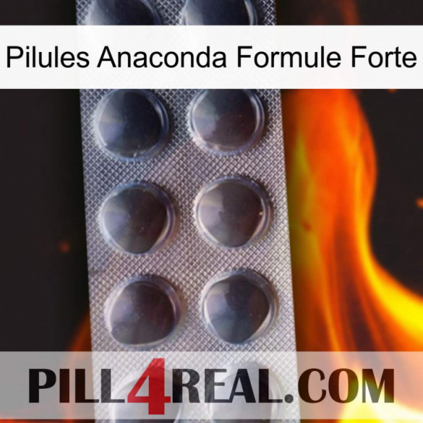 Anaconda Strong Formula Pills 30.jpg
